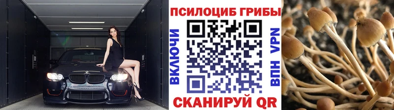 магазин продажи наркотиков Бикин Галлюциногенные грибы Magic Shrooms